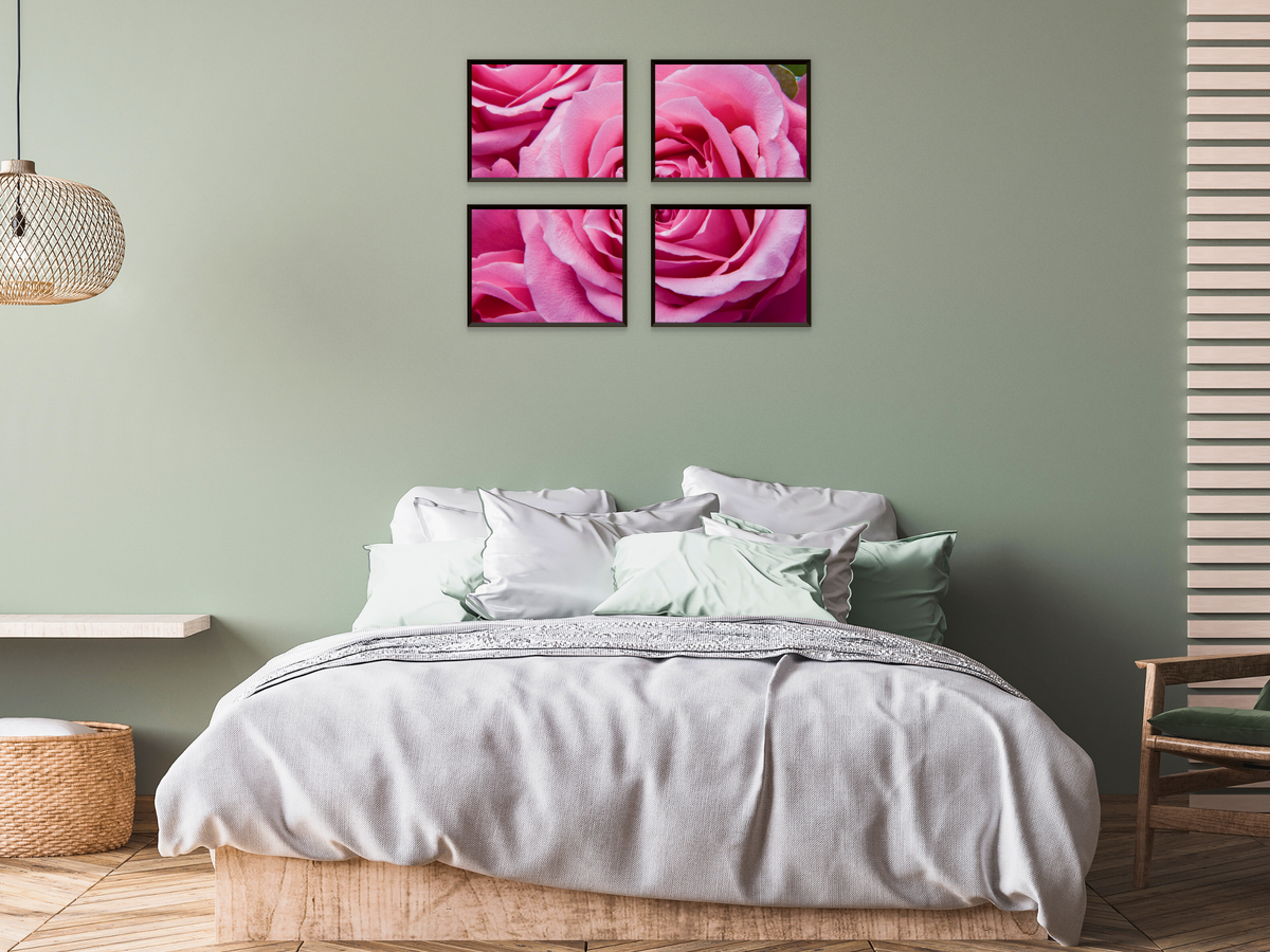 Pink Roses Split Photography