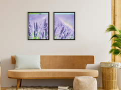 A Field of Lavender-Split-Photography