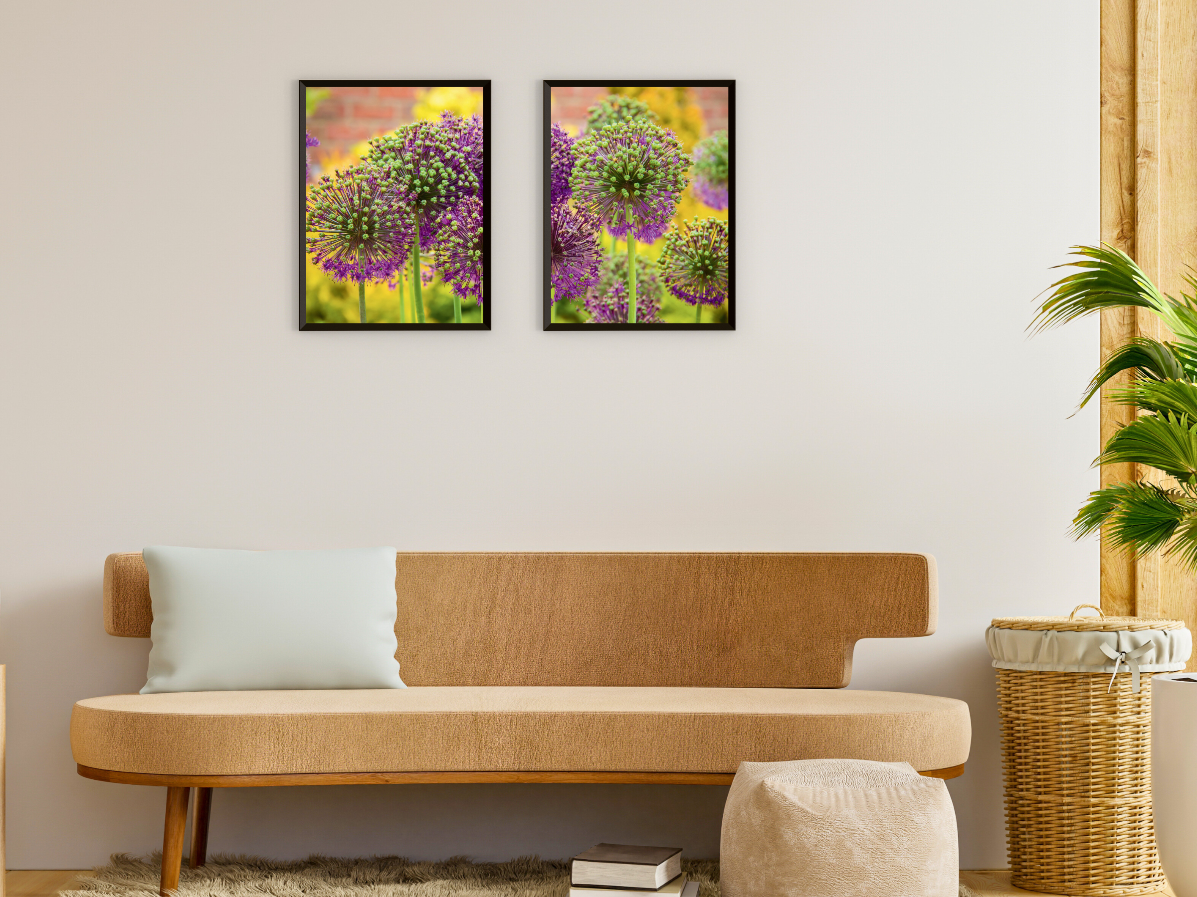 Ornamental Garlic Split Photography