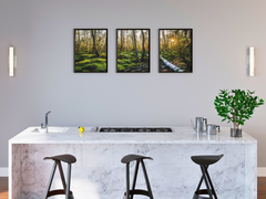 Spaziergang im Wald-Triptychon-Fotografie