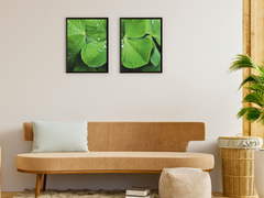 Cloverleaf-Split-Photography