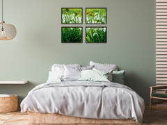 Snowdrop Meadow-Split-Photography