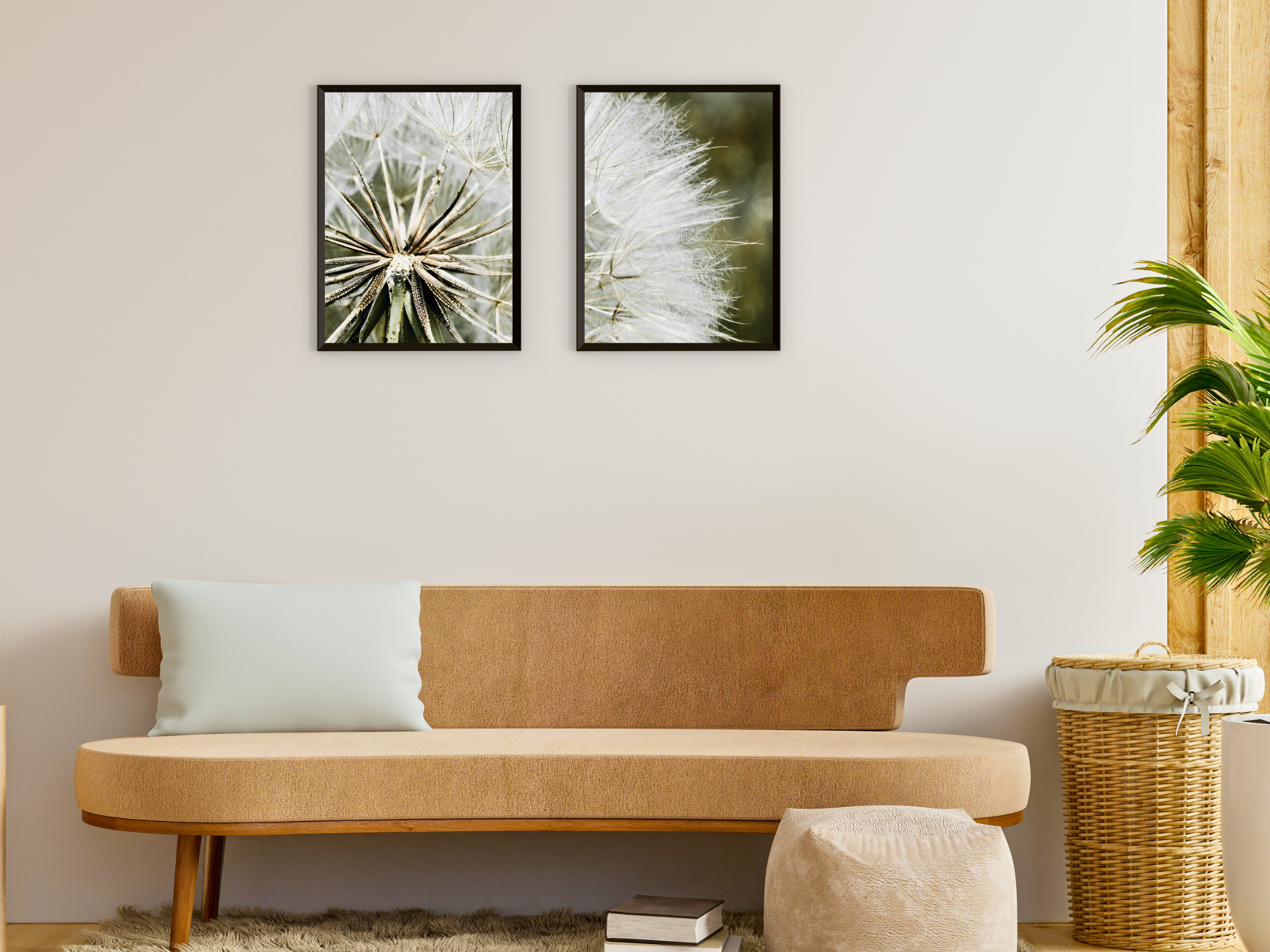 Dandelion Split Photography