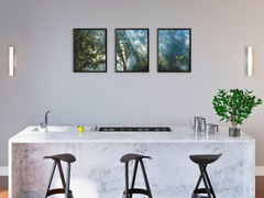 Wald und Sonnenstrahlen-Triptychon-Fotografie