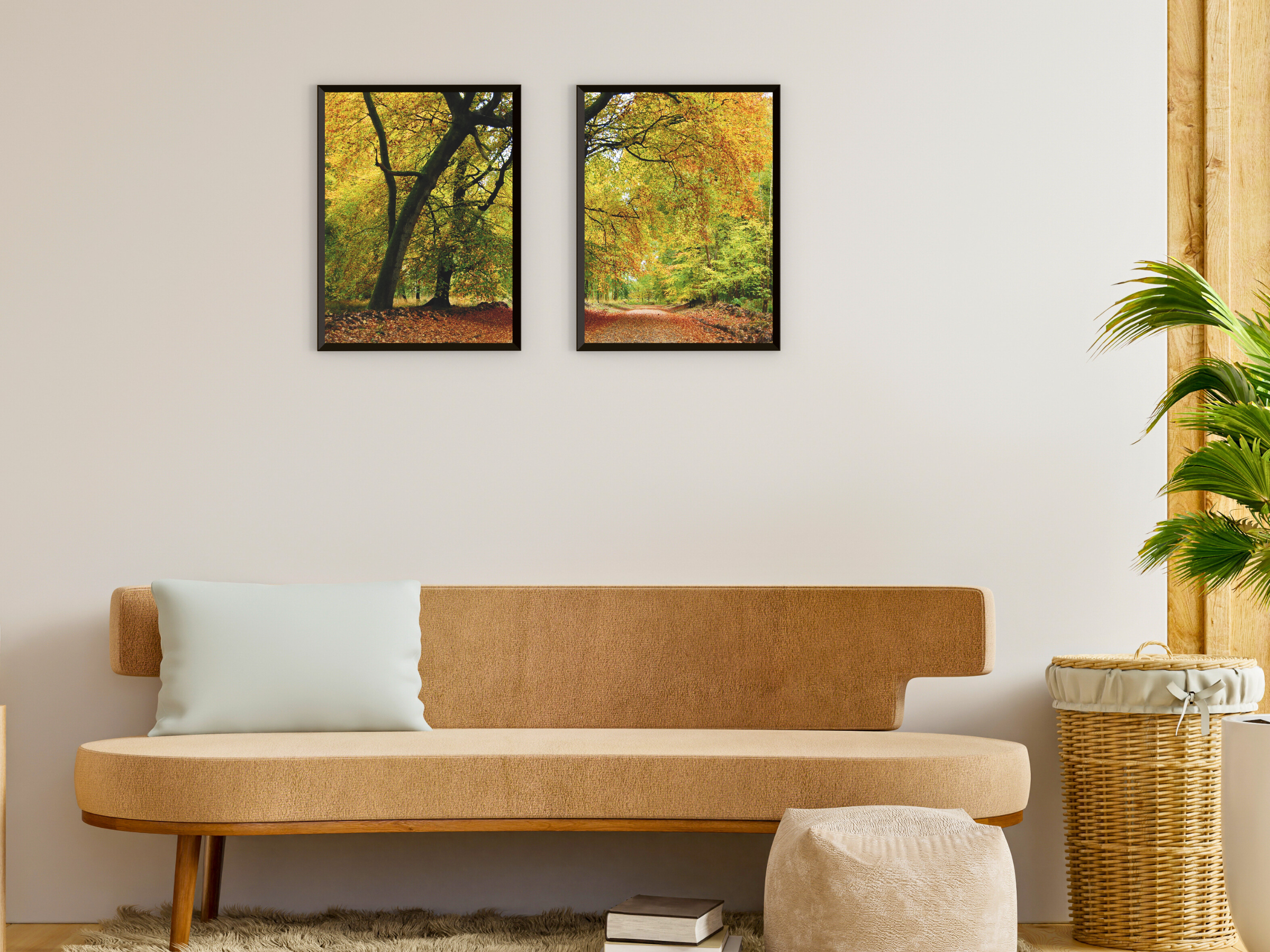 photographie de forêt d'automne