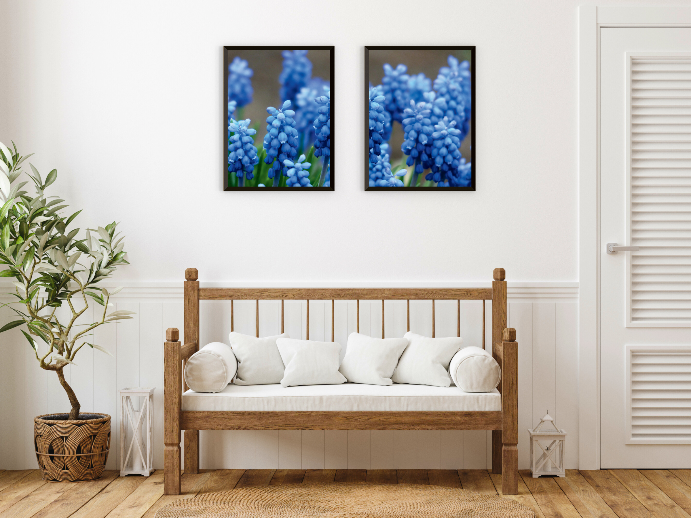 Grape Hyacinth Split Photography