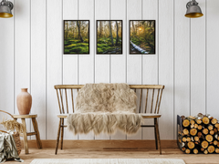 Spaziergang im Wald-Triptychon-Fotografie