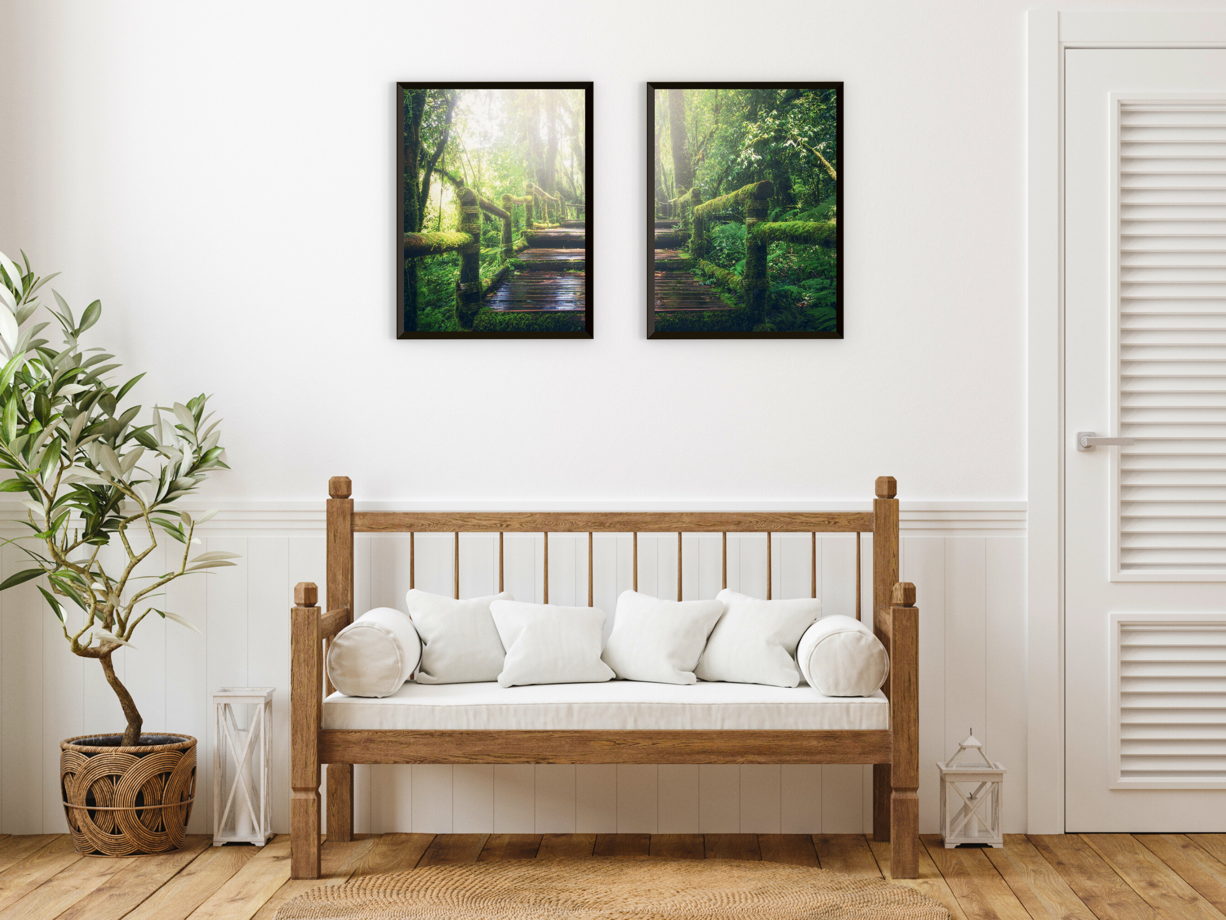 photographie d'escalier forestier divisée