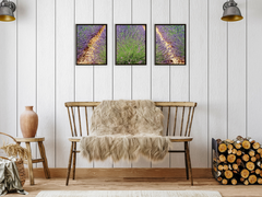 Lavendelfeld-Triptychon-Fotografie