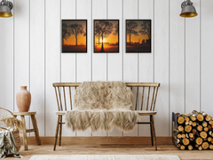 Dawn over the Field-Triptych-Photography