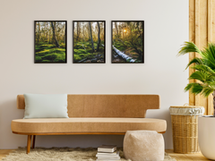 Walk in the Forest-Triptych-Photography