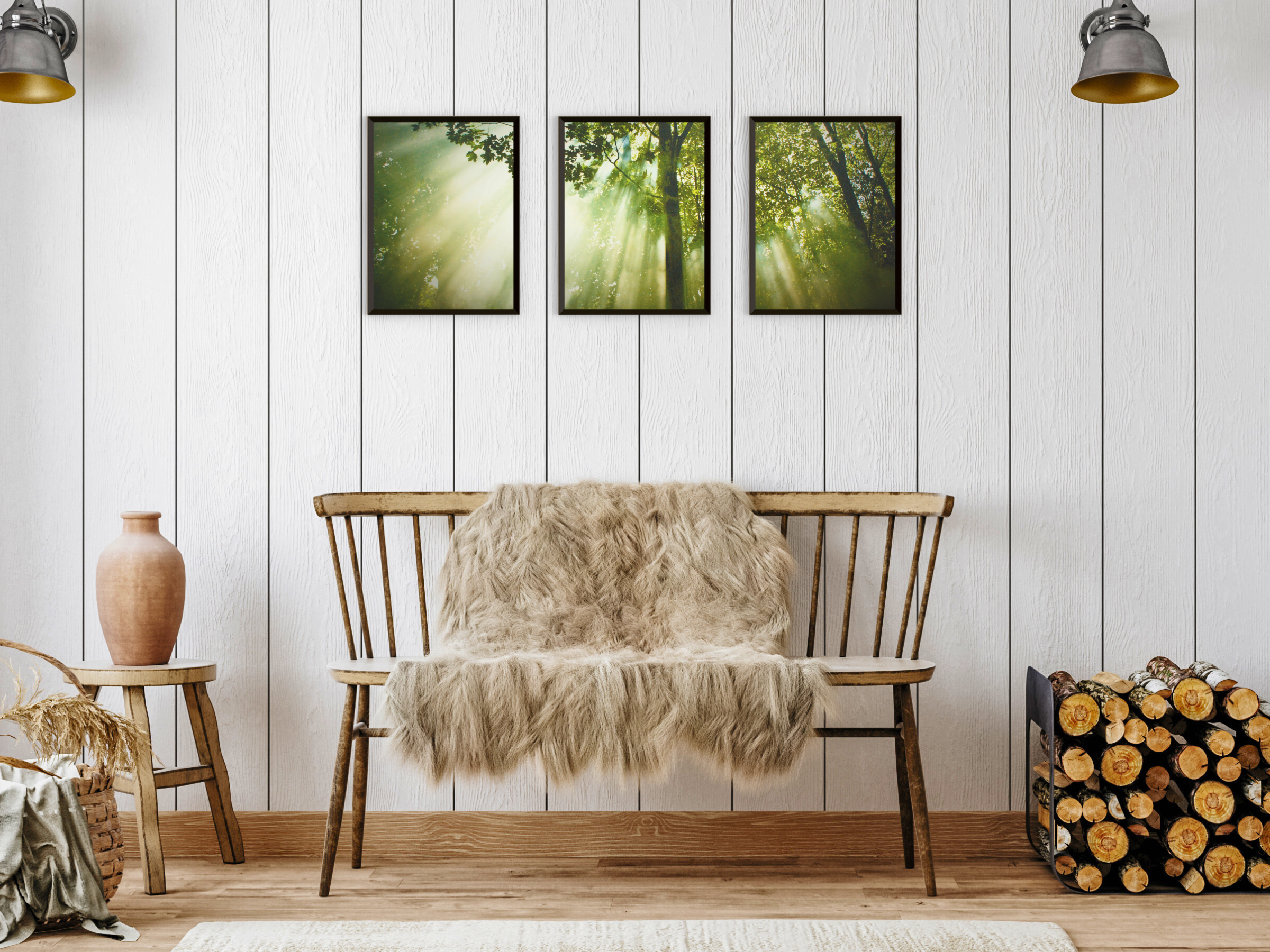 La lumière pénètre la forêt (triptyque photographique)