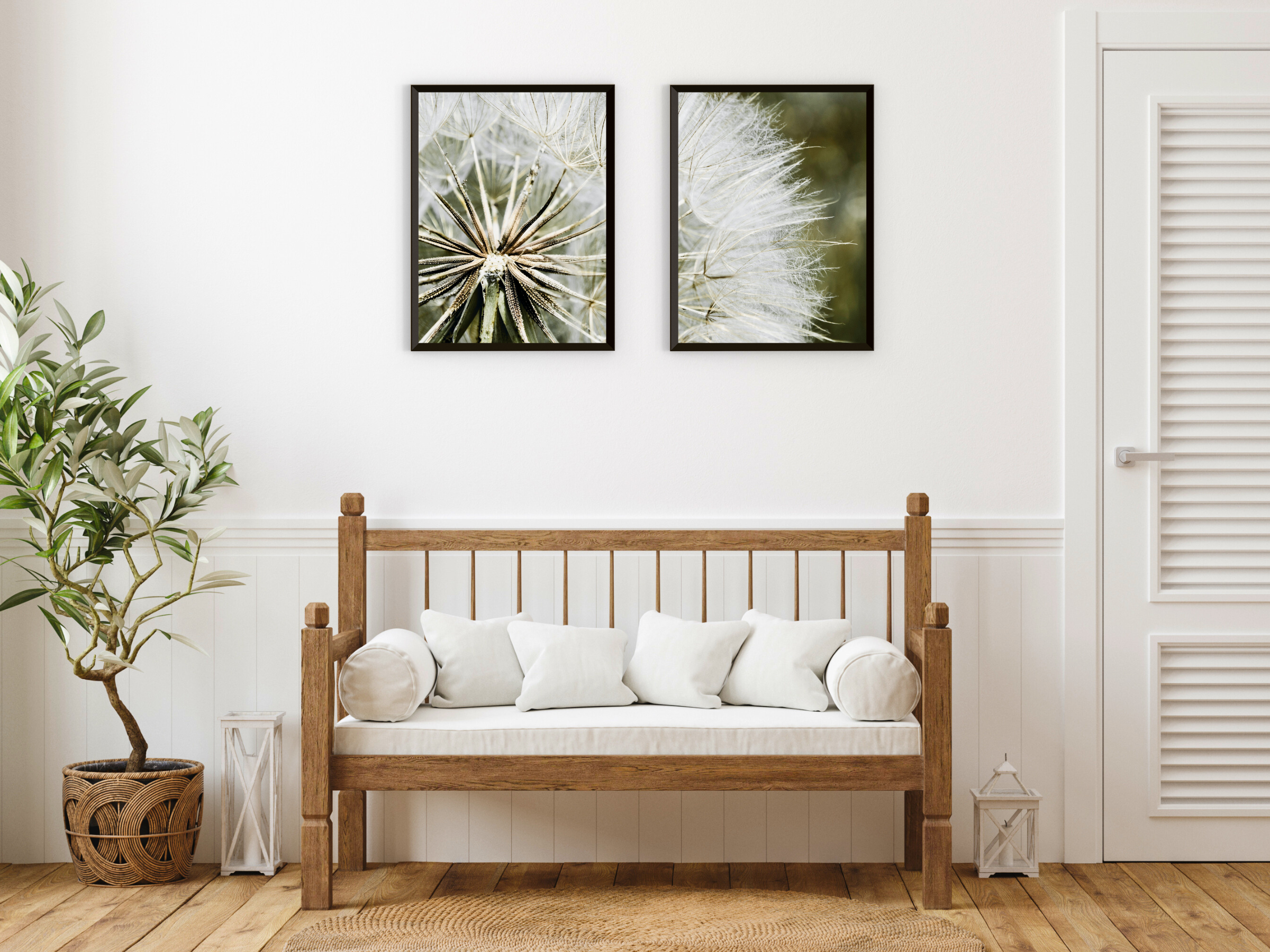 Dandelion Split Photography