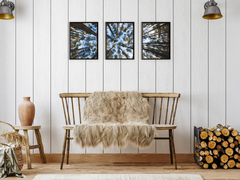 Blick in den Himmel-Triptychon-Fotografie