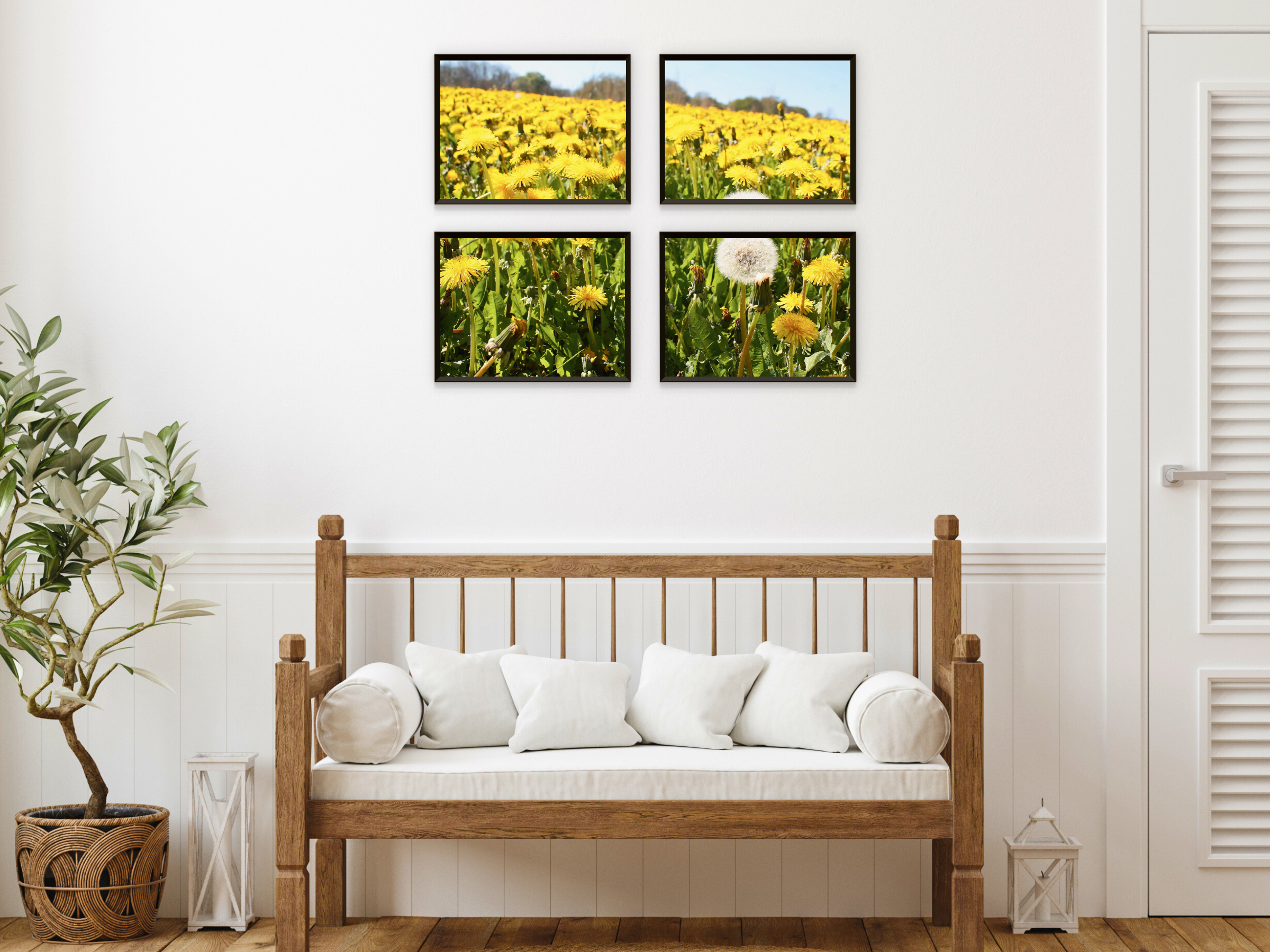 Buttercup field split photography