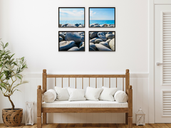 Rocky Sea View-Split-Photography