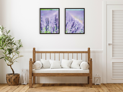 ein Feld voll Lavendel-Split-Fotografie