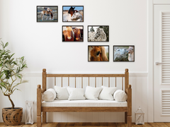 Tiere (Bundle)