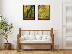 Landscape-Split-Photography (Bundle)