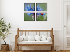Winter flower meadow split photography (bundle)