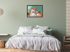 Katzen