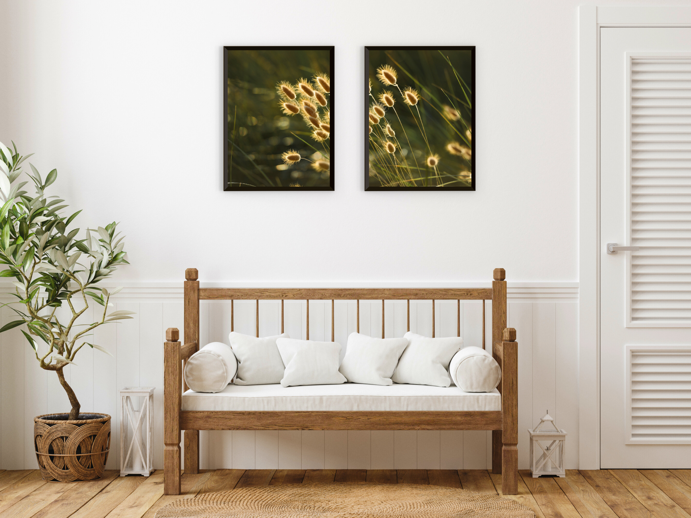 Velvet Grass Split Photography