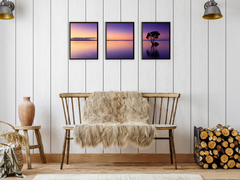 Tree in Lake Triptych Photography
