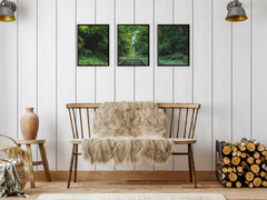 by Train through the Forest-Triptych-Photography