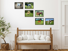 Tierkinder (Bundle)
