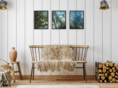 Wald und Sonnenstrahlen-Triptychon-Fotografie