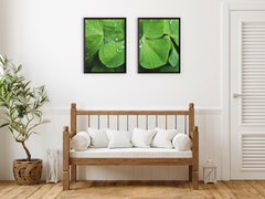Cloverleaf-Split-Photography