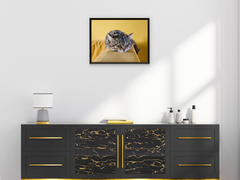 Katzen