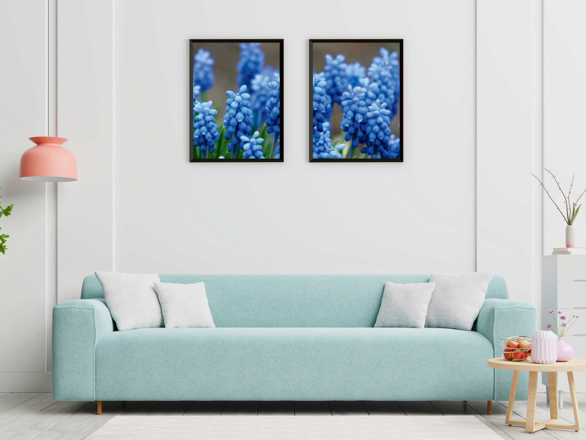 Grape Hyacinth Split Photography