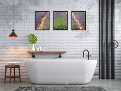 Lavendelfeld-Triptychon-Fotografie