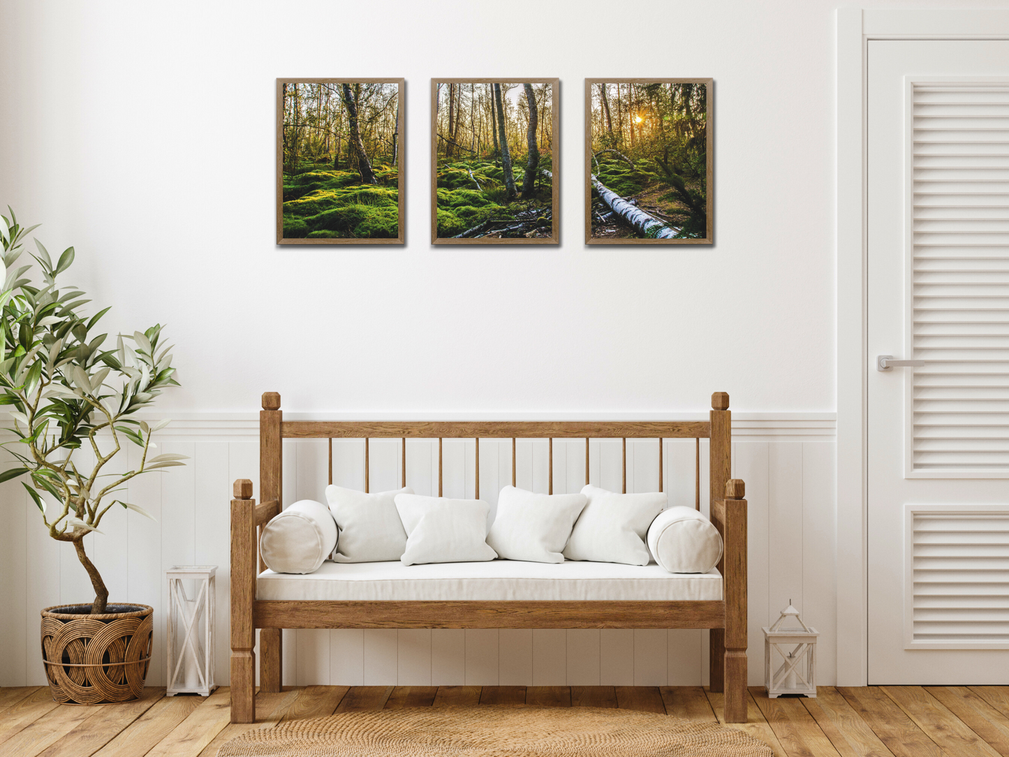 Spaziergang im Wald-Triptychon-Fotografie