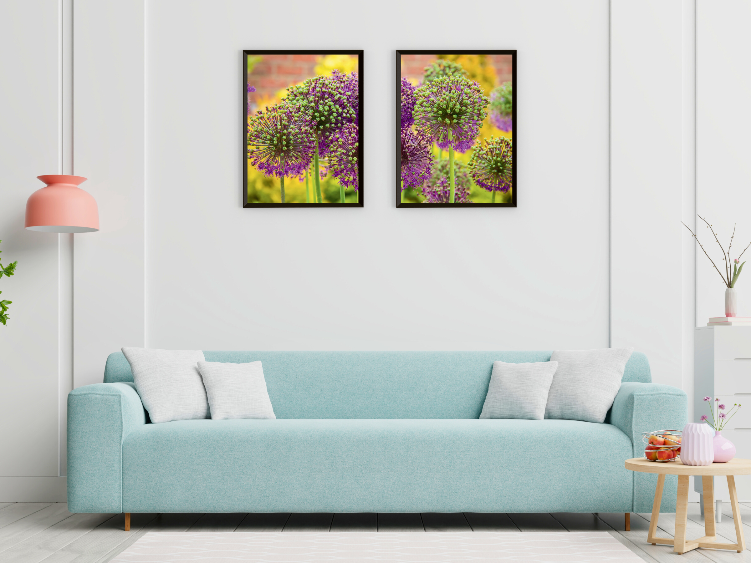 Ornamental Garlic Split Photography