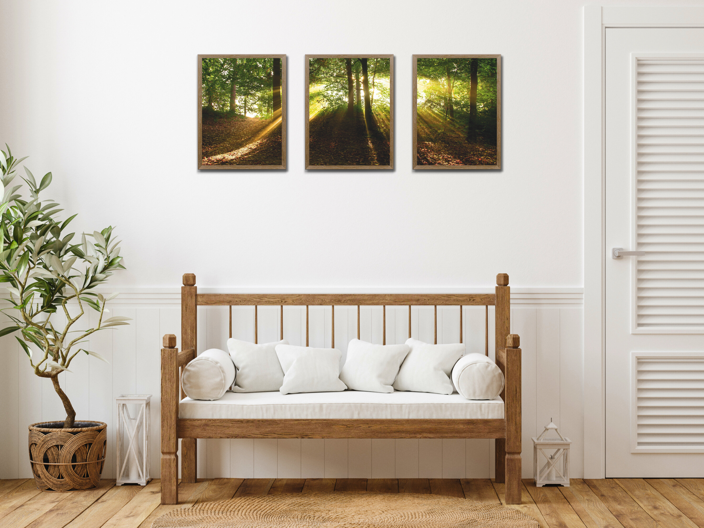 Waldlichtblick-Triptychon-Fotografie