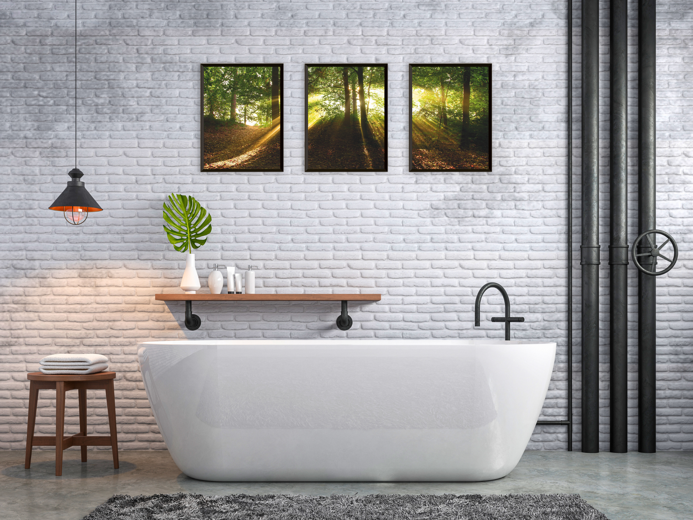 Forest Light View Triptych Photography