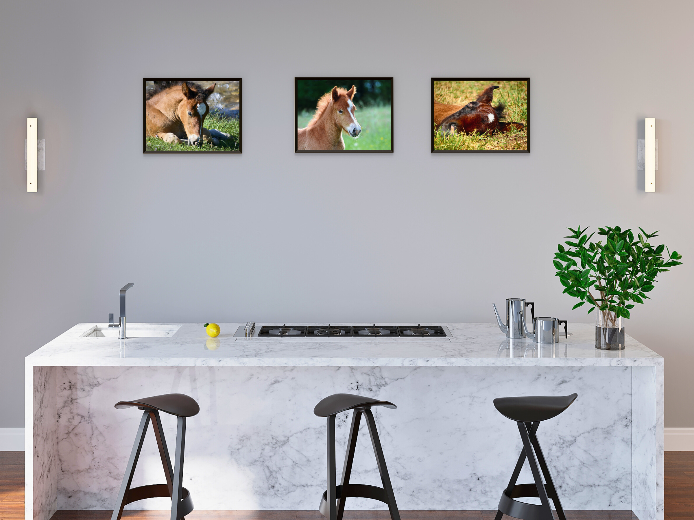 Bébés animaux (paquet)