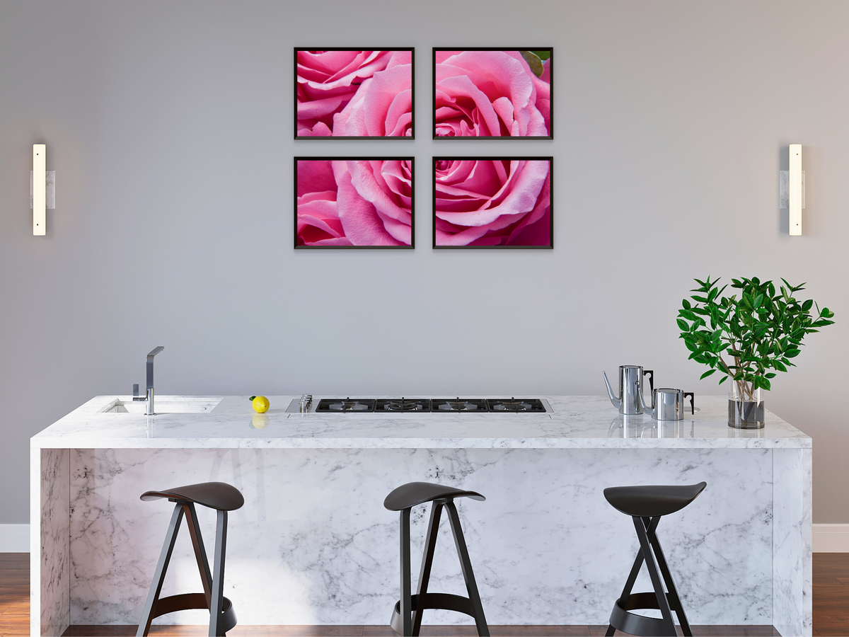 Pink Roses Split Photography