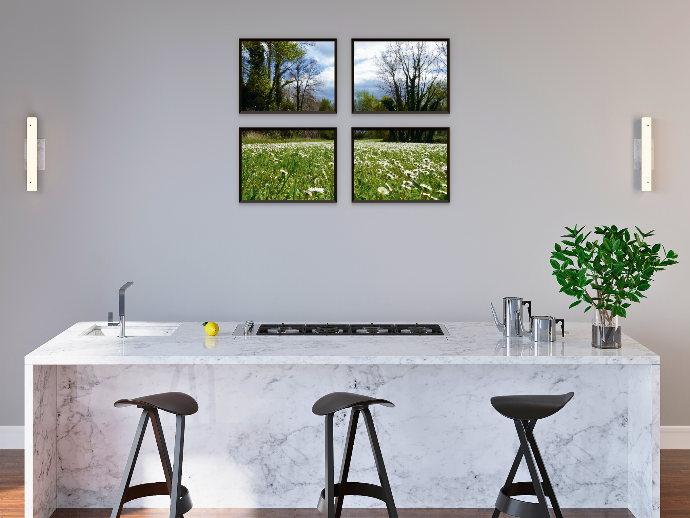 photographie de prairie de marguerites
