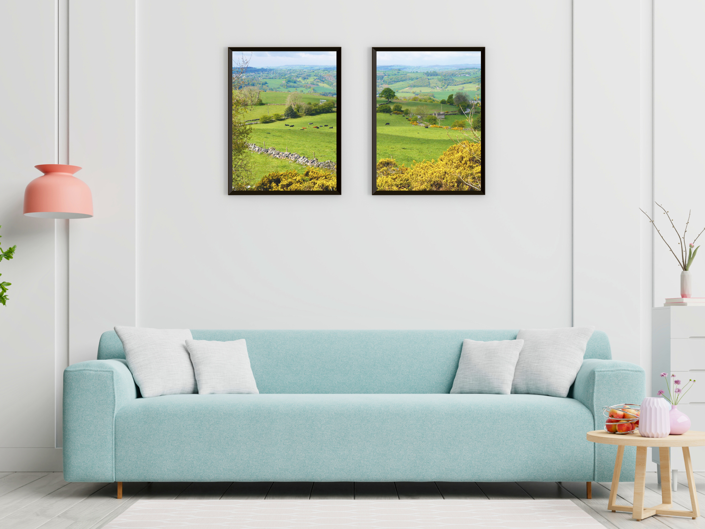 photographie de paysage de prairie divisée