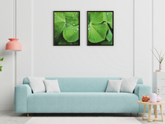 Cloverleaf-Split-Photography