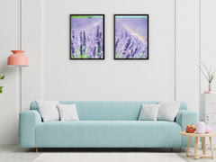 ein Feld voll Lavendel-Split-Fotografie