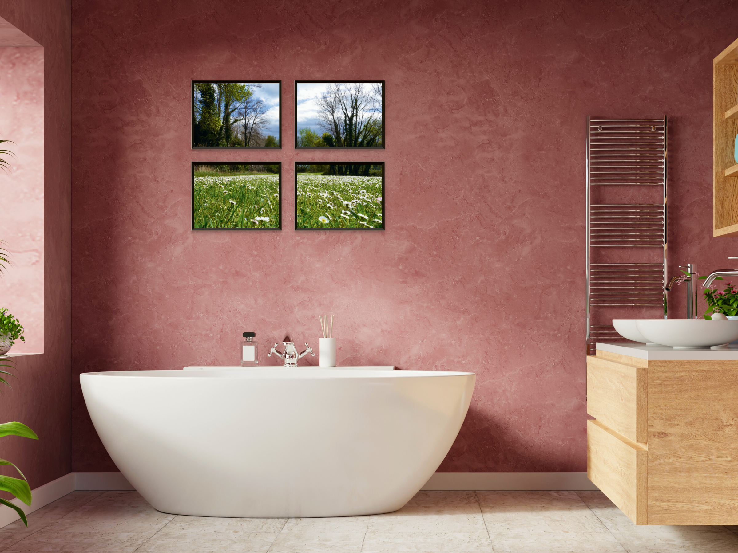 photographie de prairie de marguerites