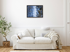 Winter Forest