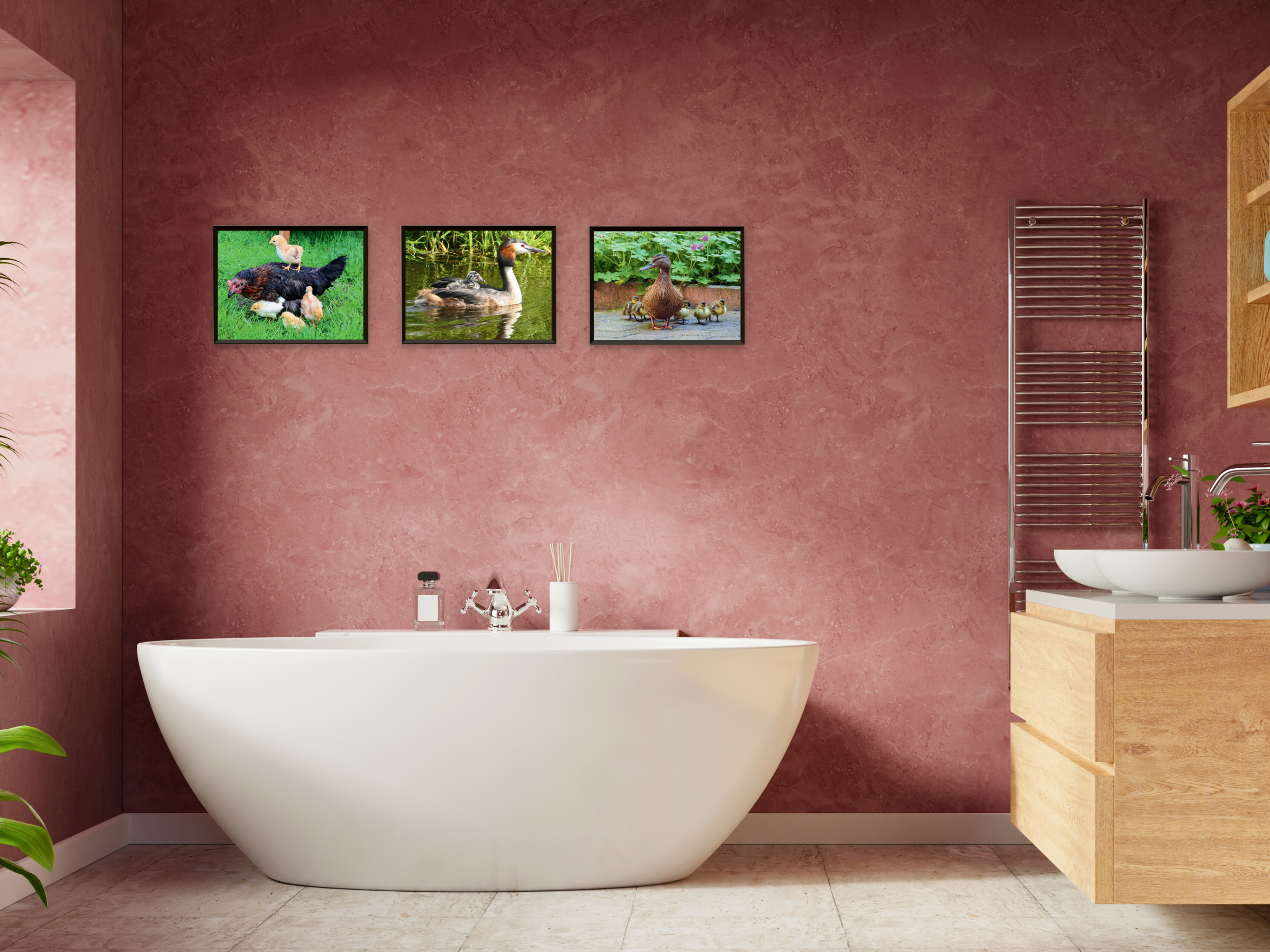 Bébés animaux (paquet)