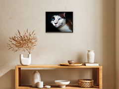 Katzen