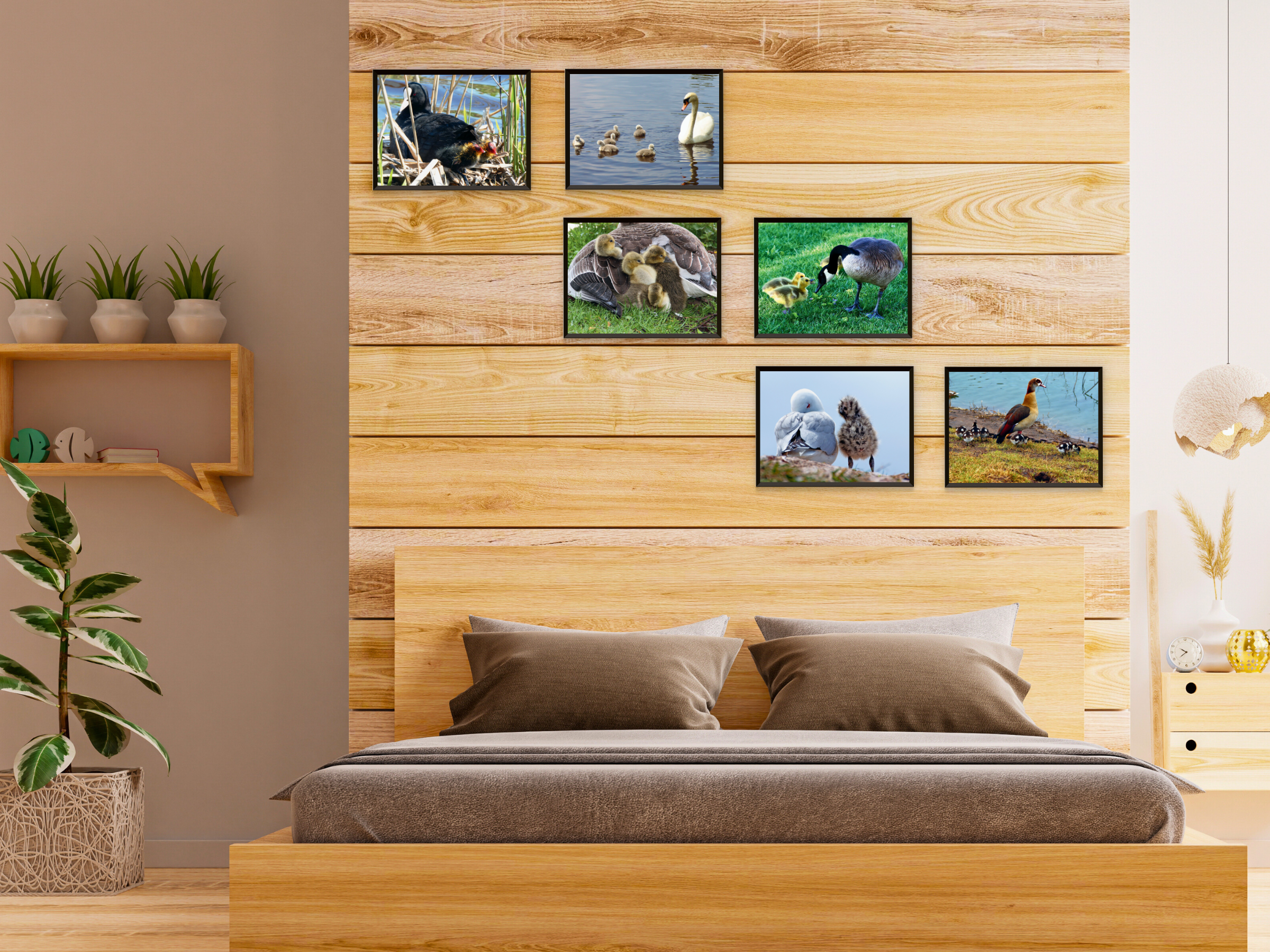 Bébés animaux (paquet)